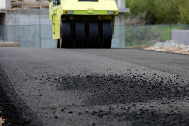 Best Decorative Driveway Pavers  in Clifton Forge, VA