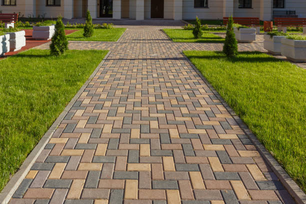 Best Driveway Paving Near Me  in Clifton Forge, VA